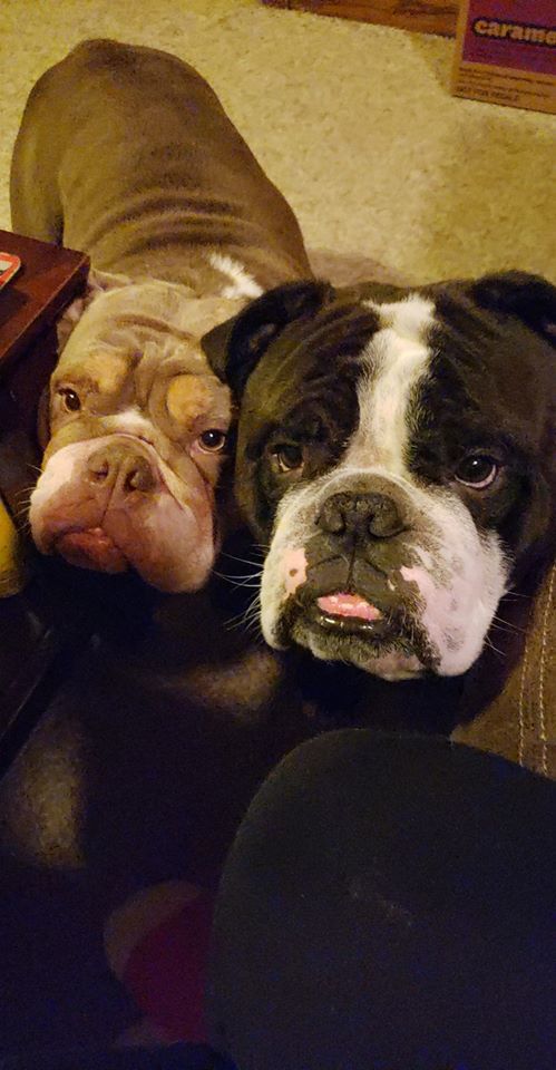 Mulberry and Pablo.jpg
